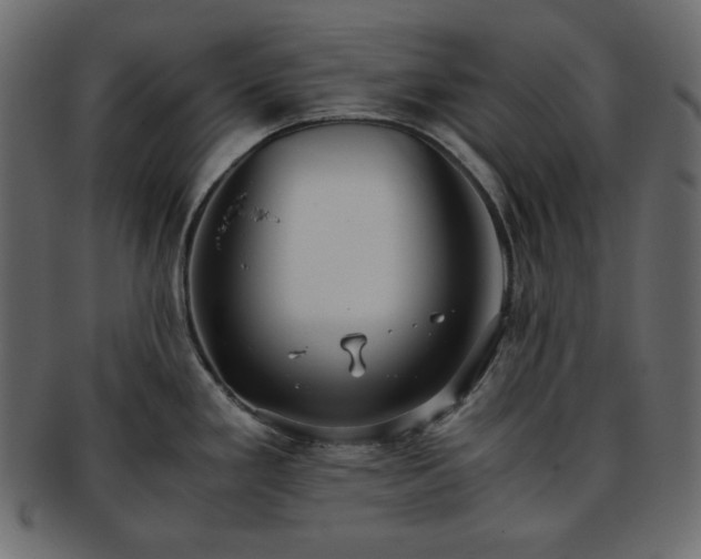 X0000093371293200710191109