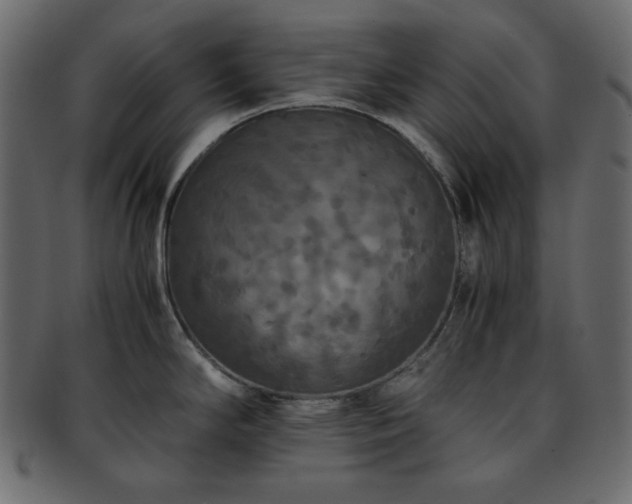 X0000093371294200710191109