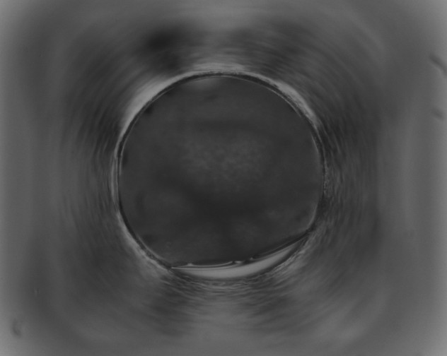 X0000093371295200710191109