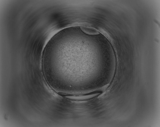 X0000093371296200710191109