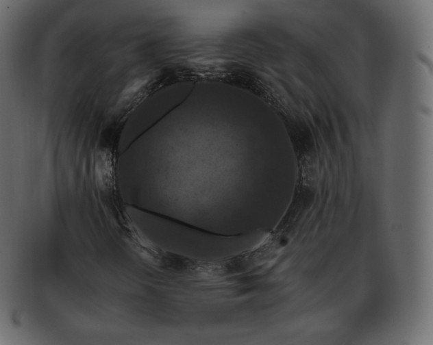 X0000093371298200710191108