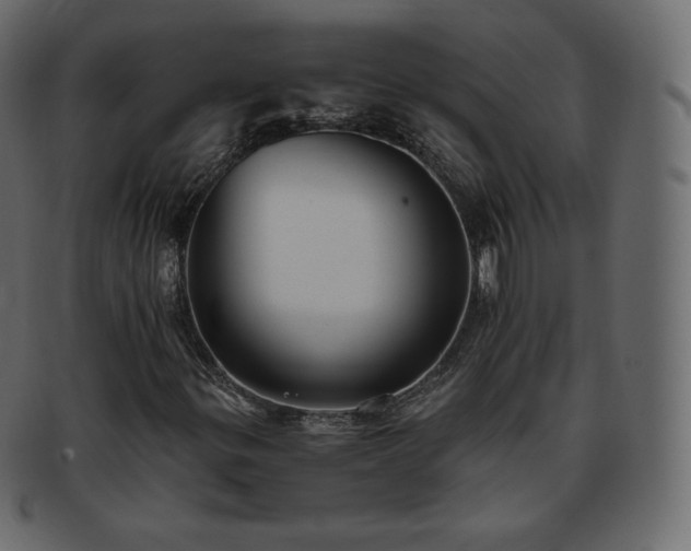 X0000093371299200710191108