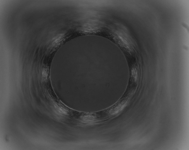 X0000093371300200710191108