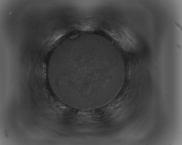 X0000093371301200710191108