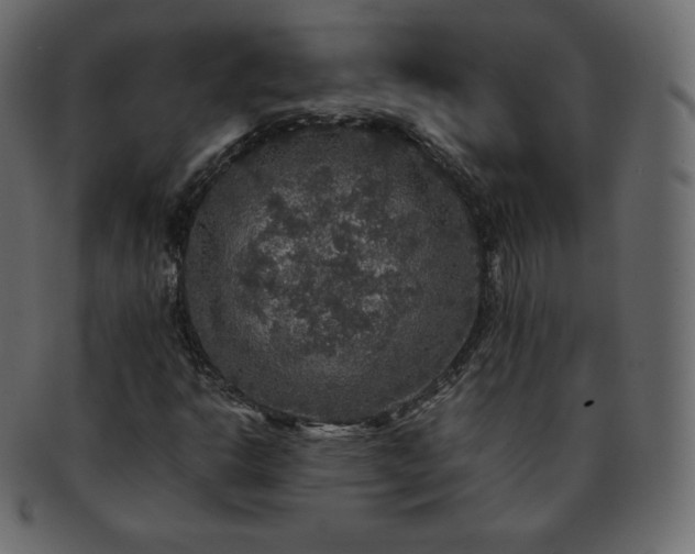 X0000093371302200710191108