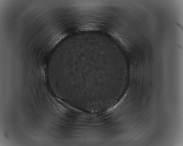 X0000093371305200710191108