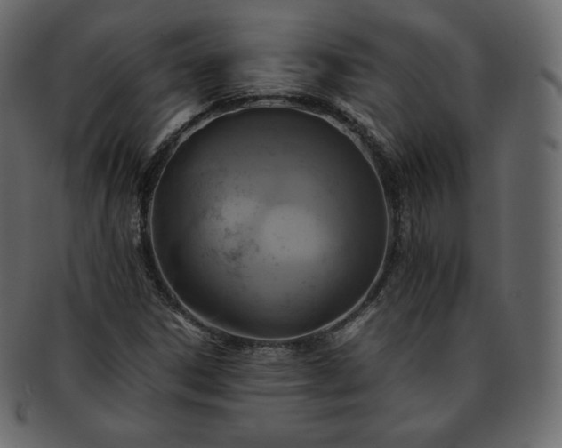 X0000093371306200710191108