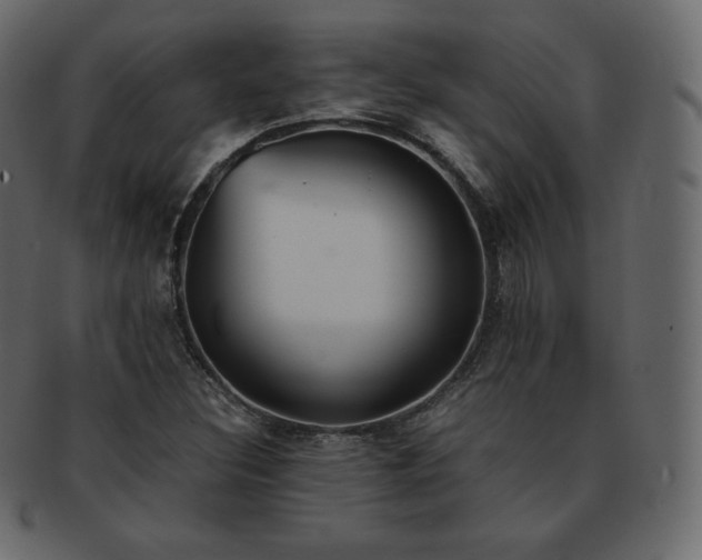 X0000093371308200710191108