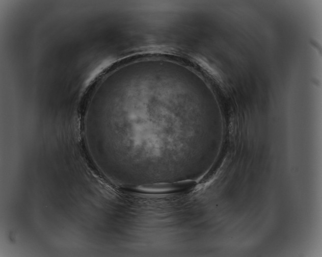 X0000093371310200710191108