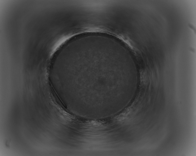 X0000093371311200710191108