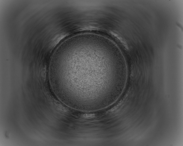 X0000093371313200710191109