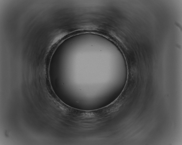 X0000093371315200710191109