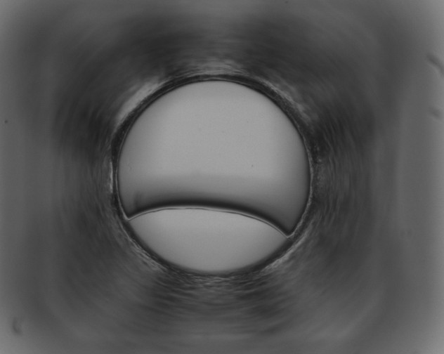 X0000093371317200710191109