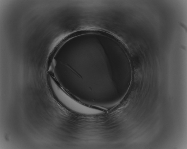 X0000093371319200710191109