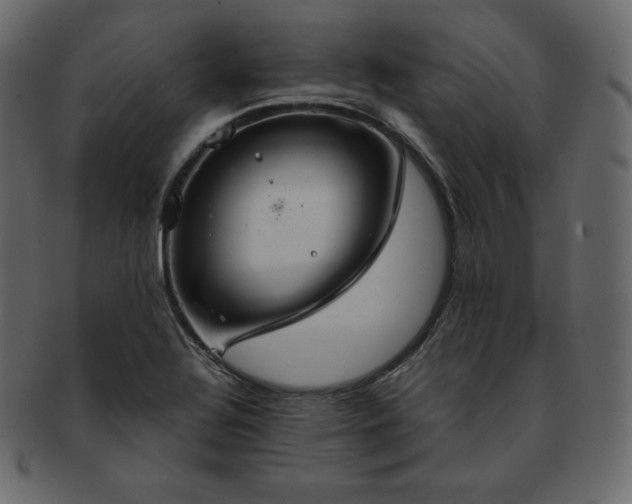 X0000093371320200710191109