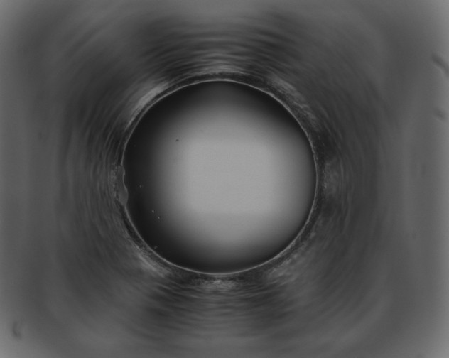 X0000093371321200710191109