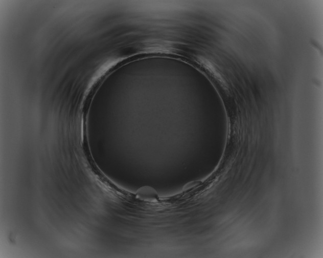 X0000093371323200710191109