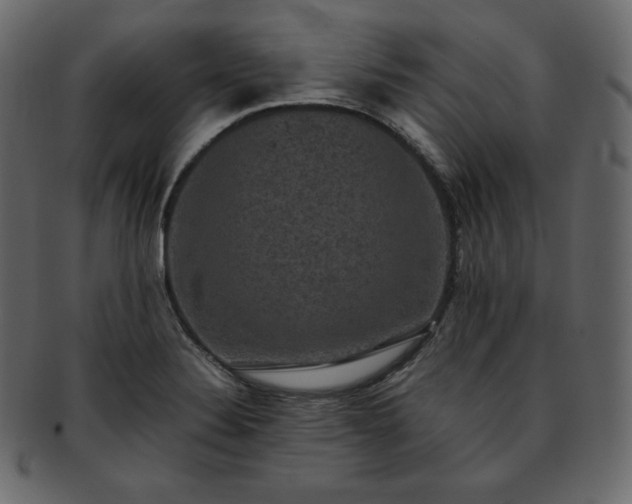 X0000093371324200710191109