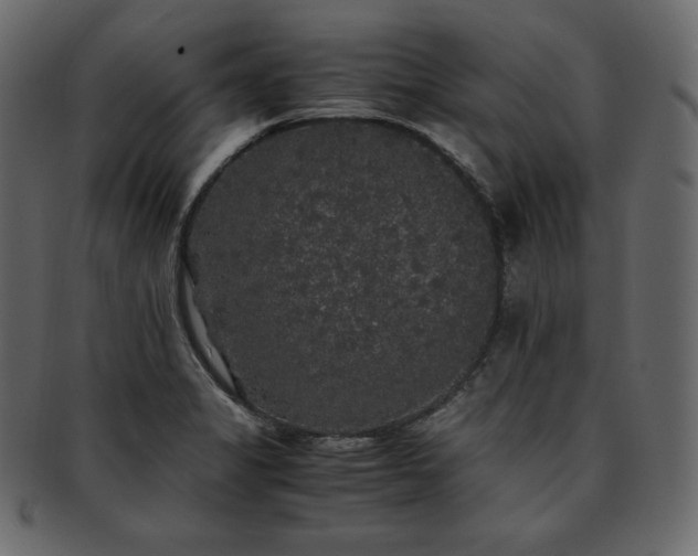 X0000093371325200710191109