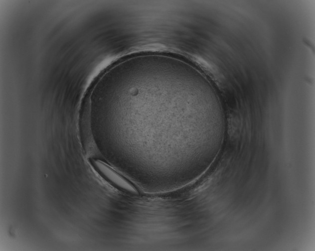 X0000093371326200710191109