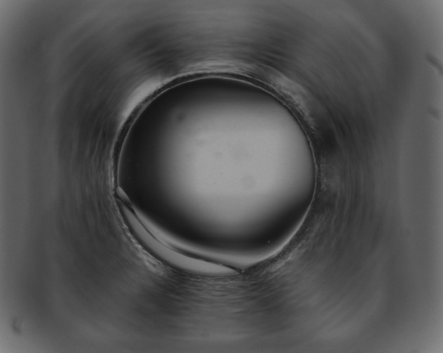 X0000093371328200710191109