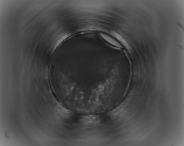 X0000093371329200710191109