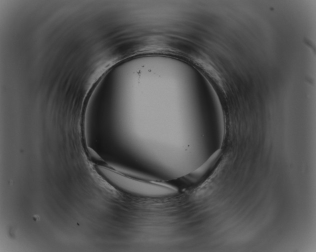 X0000093371330200710191109