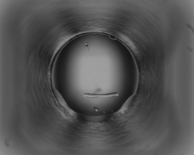 X0000093371332200710191109