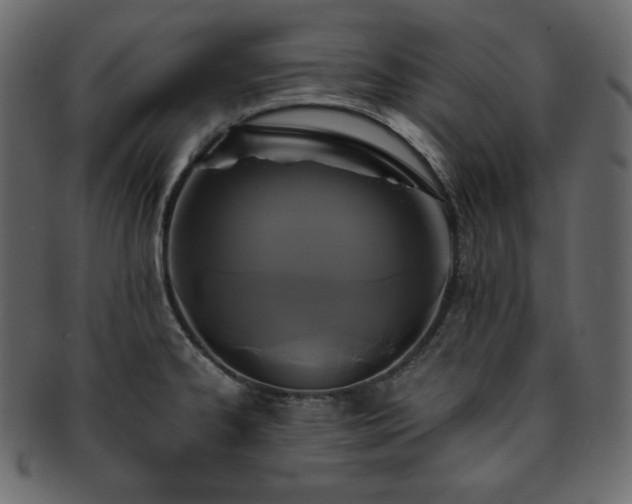 X0000093371334200710191109