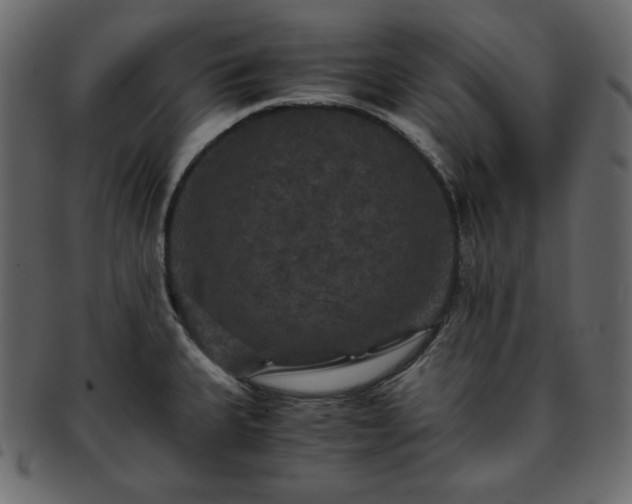 X0000093371335200710191109