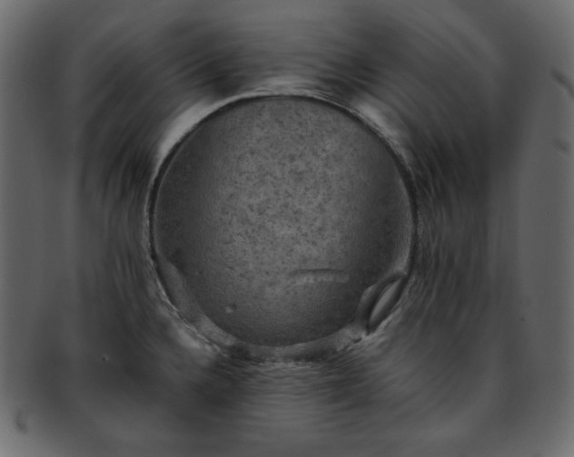 X0000093371336200710191109