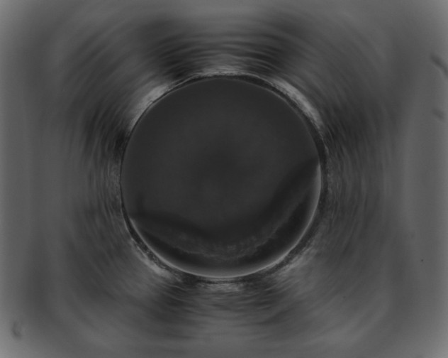 X0000093371337200710191109