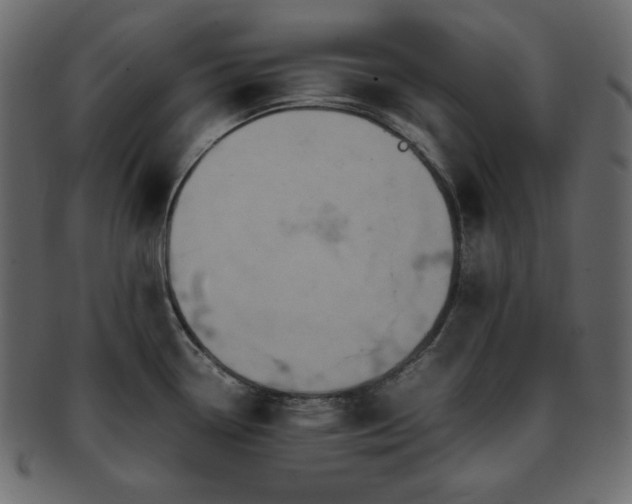 X0000093371338200710191109