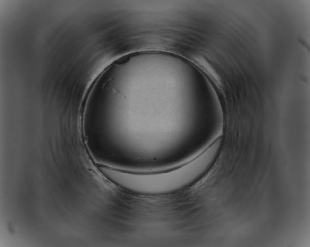 X0000093371340200710191109