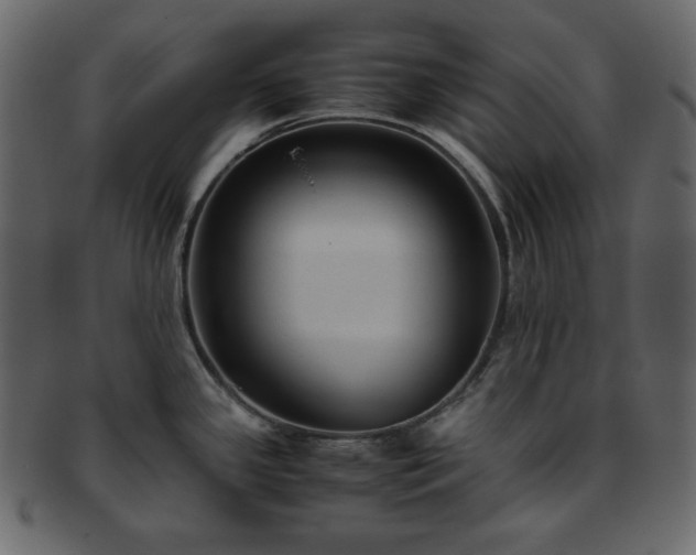 X0000093371341200710191109