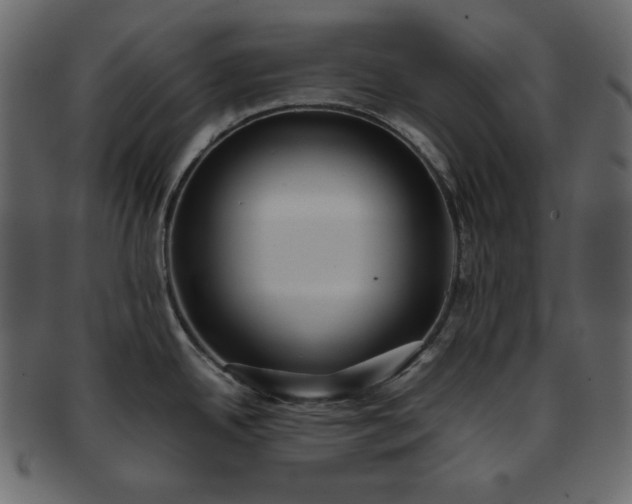 X0000093371342200710191109