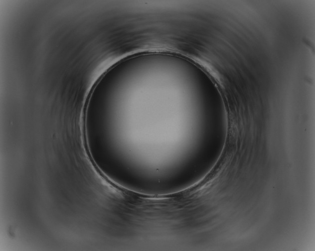 X0000093371343200710191109