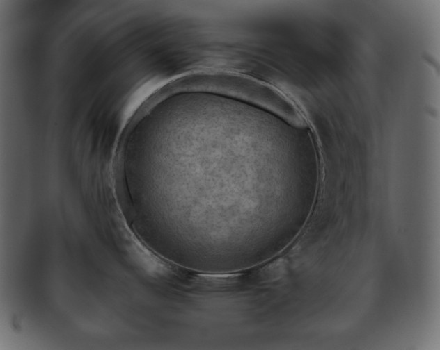 X0000093371344200710191109