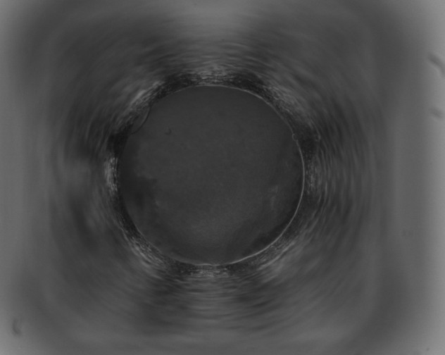 X0000093371346200710191108