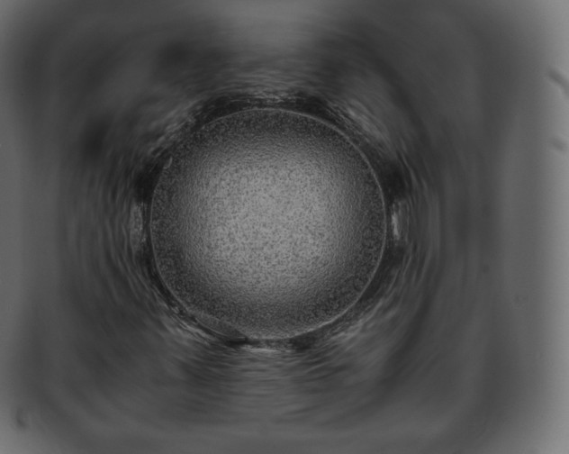 X0000093371347200710191108