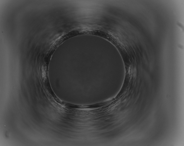 X0000093371348200710191108