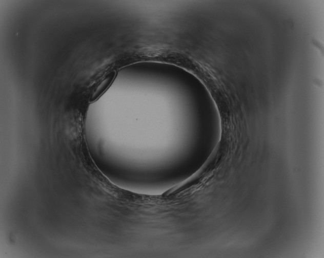 X0000093371349200710191108