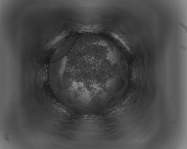 X0000093371350200710191108