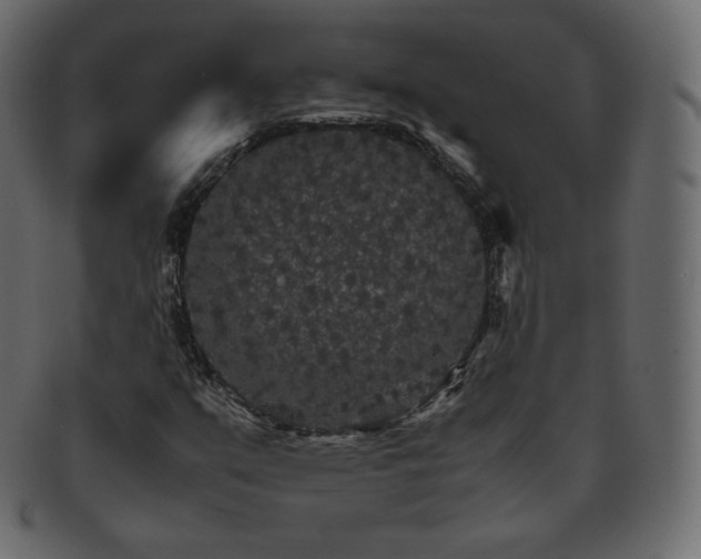 X0000093371351200710191108