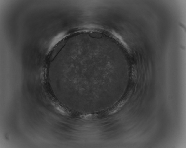 X0000093371352200710191108