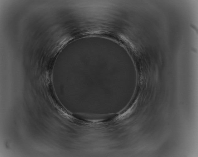 X0000093371353200710191108