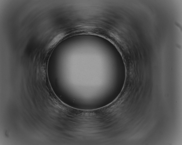 X0000093371354200710191108