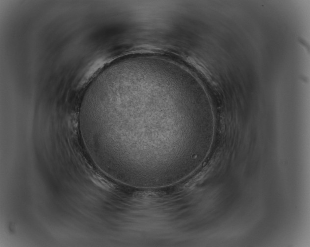 X0000093371355200710191108