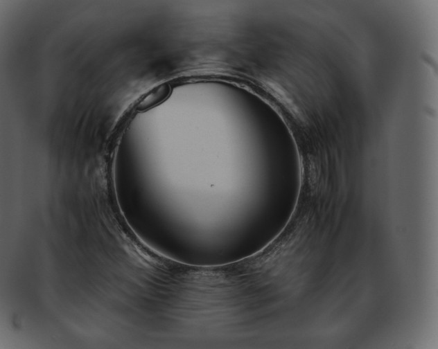 X0000093371356200710191108