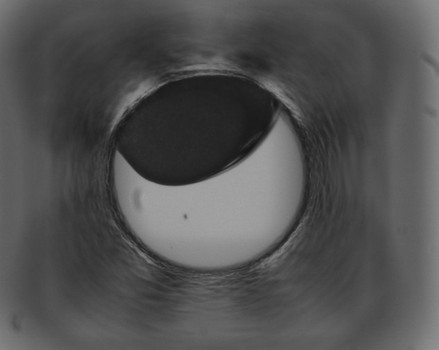 X0000093371357200710191108